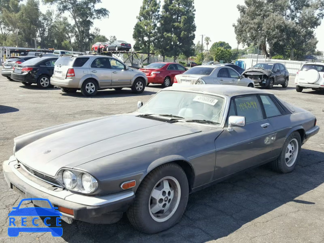 1988 JAGUAR XJS SAJNA5844JC145387 Bild 1