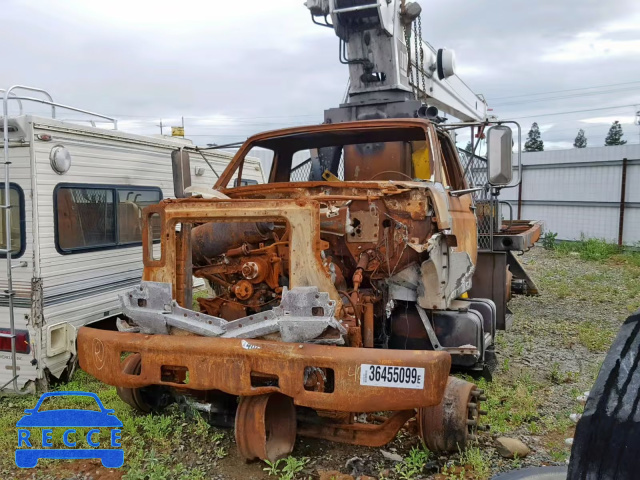 1988 FORD F800 F 1FDXK84A4JVA33464 Bild 1