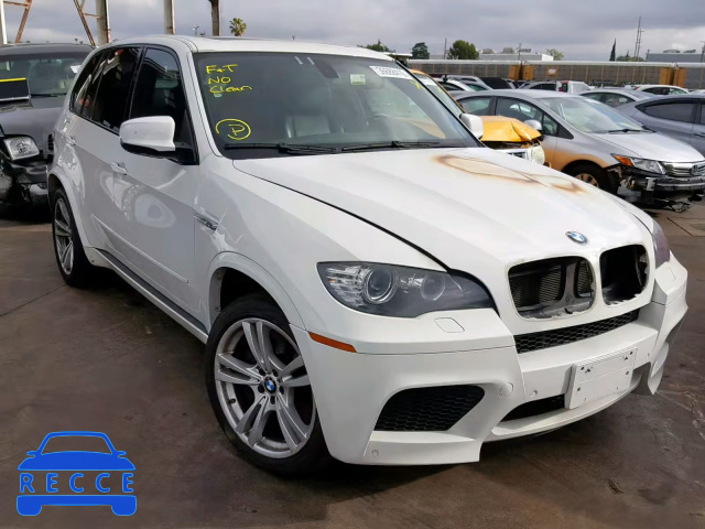 2010 BMW X5 M 5YMGY0C57ALK25831 зображення 0