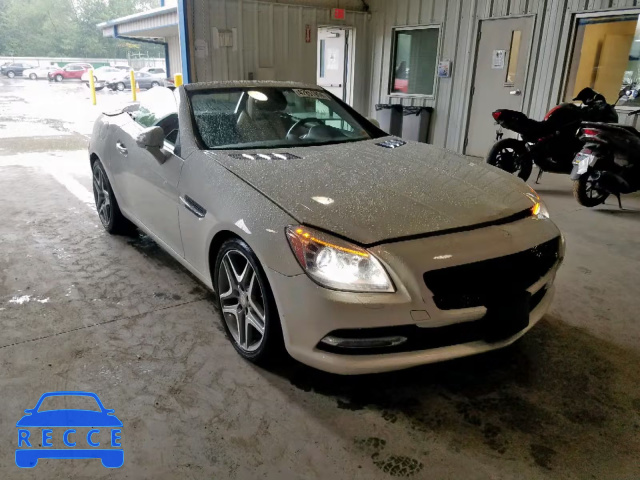 2012 MERCEDES-BENZ SLK 250 WDDPK4HA7CF043822 image 0