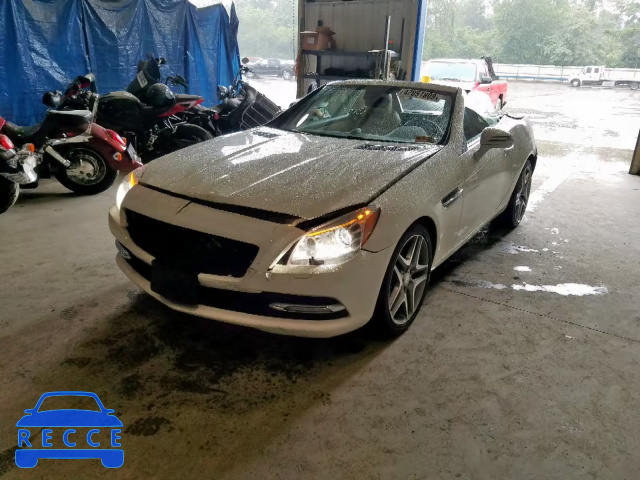 2012 MERCEDES-BENZ SLK 250 WDDPK4HA7CF043822 image 1