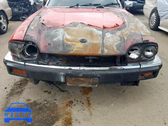 1986 JAGUAR XJS SAJNV5841GC125403 зображення 8