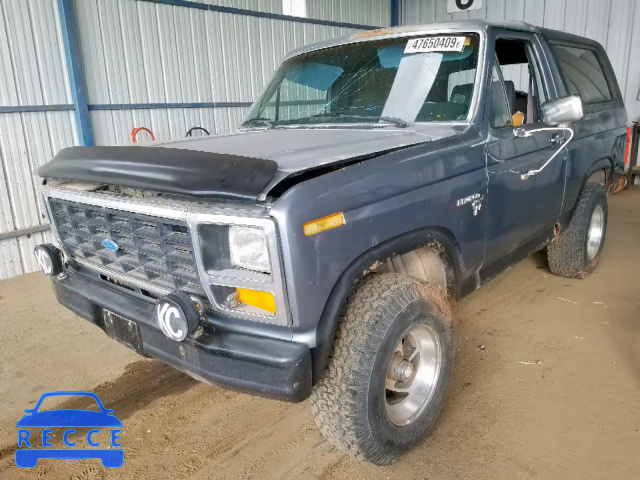 1981 FORD BRONCO U10 1FMDU15G9BLA50376 image 1