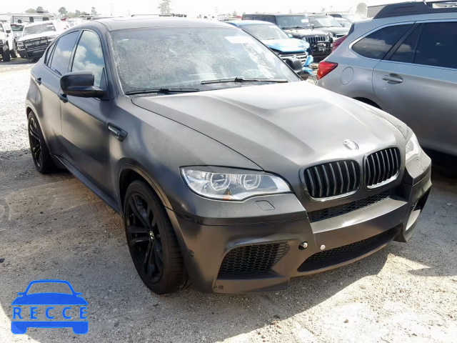 2014 BMW X6 M 5YMGZ0C5XE0C40590 Bild 0