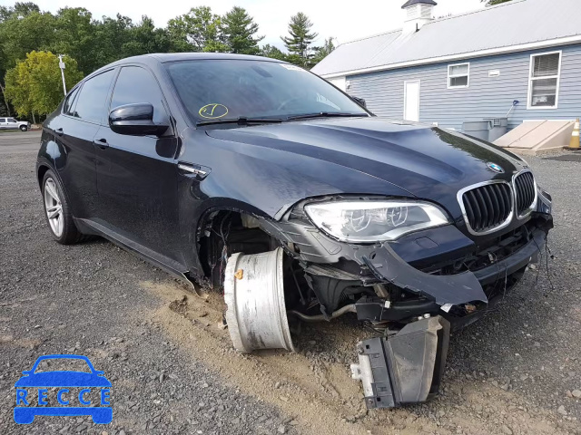 2014 BMW X6 M 5YMGZ0C55E0C40576 зображення 0