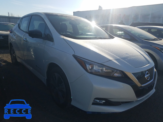 2019 NISSAN LEAF S PLU 1N4BZ1CPXKC313397 зображення 0