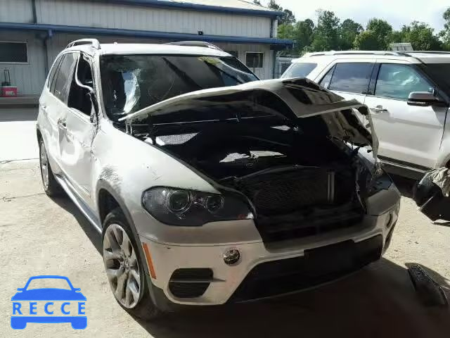 2013 BMW X5 5UXZV4C50D0B03823 зображення 0