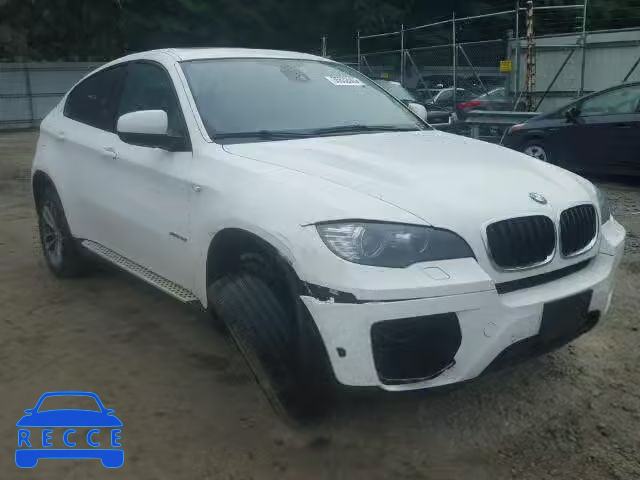 2013 BMW X6 5UXFG2C57DL783118 image 0