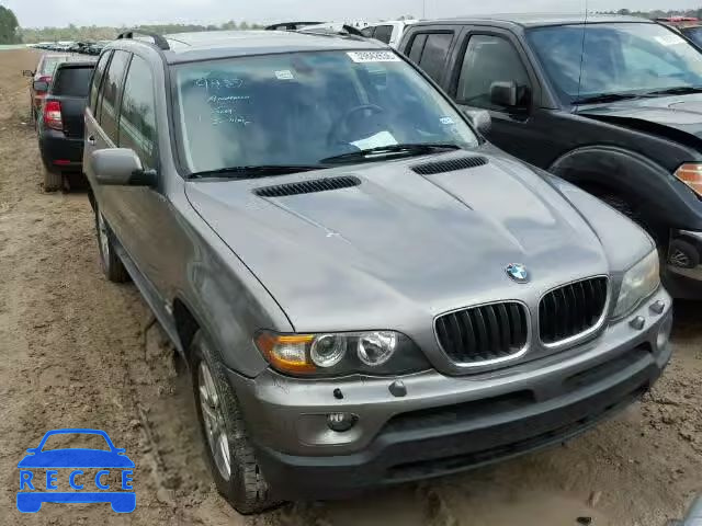 2005 BMW X5 5UXFA13565LY13982 зображення 0