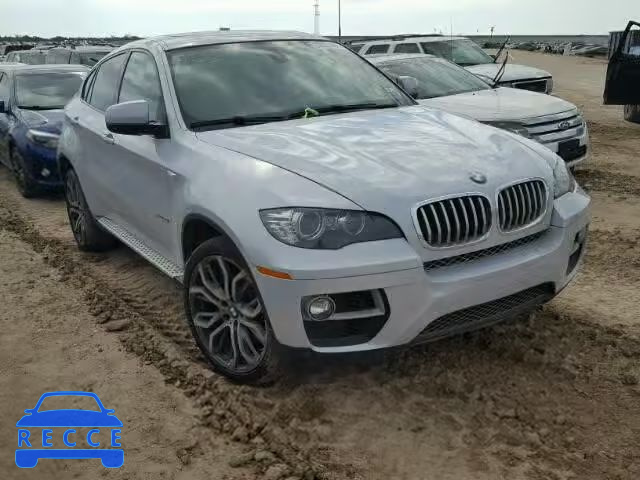 2013 BMW X6 5UXFG8C57DL592298 Bild 0