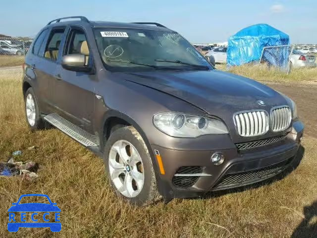 2013 BMW X5 5UXZV8C58DL899496 зображення 0