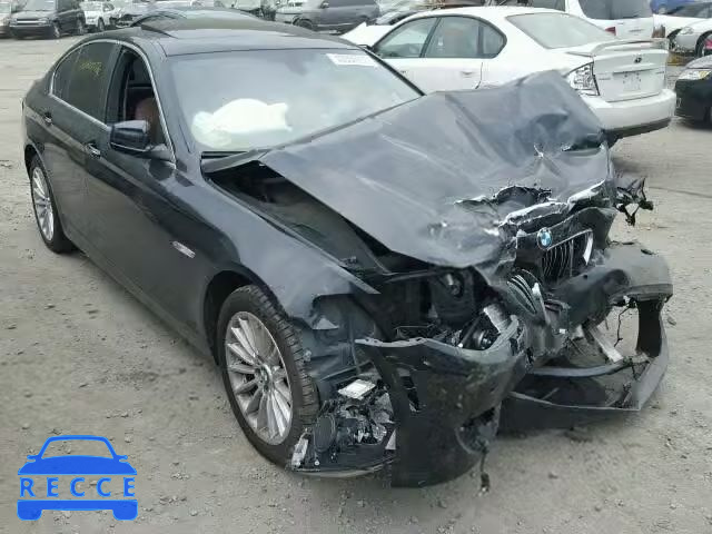 2013 BMW 535 WBAFU7C54DDU70168 зображення 0