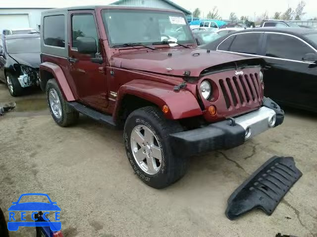 2009 JEEP WRANGLER 1J8FA54169L701878 image 0