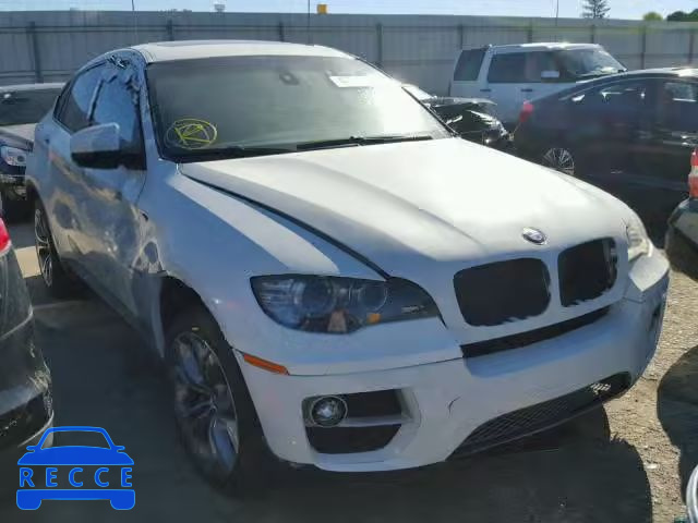 2013 BMW X6 5UXFG8C58DL590916 image 0