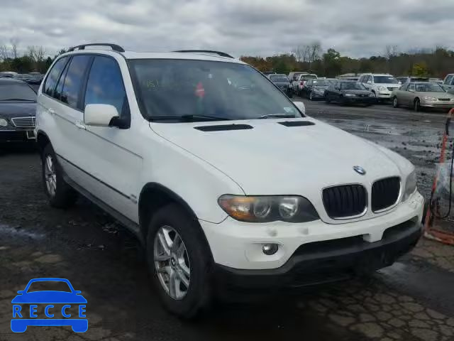 2005 BMW X5 5UXFA13505LY16800 зображення 0