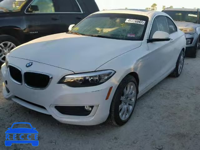 2015 BMW 228 WBA1F5C52FV256561 image 1