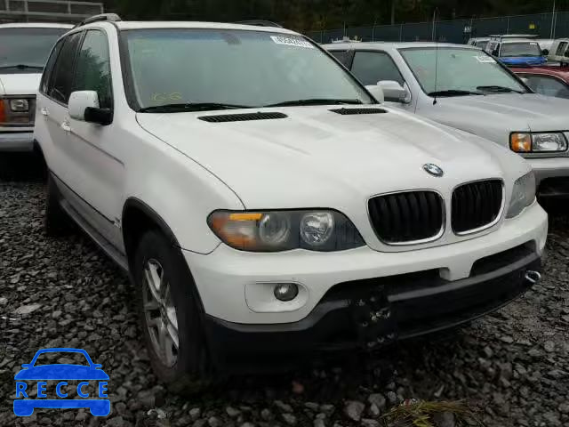 2005 BMW X5 5UXFA13545LY15942 image 0