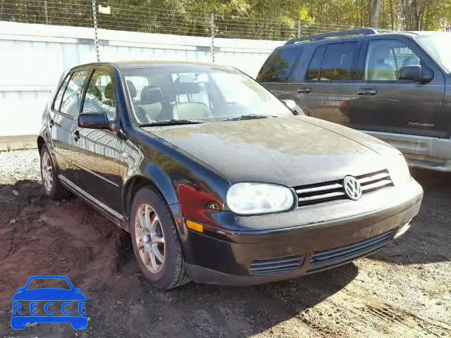 2002 VOLKSWAGEN GOLF 9BWGB61J824026608 image 0