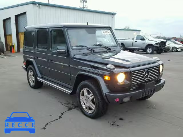 2003 MERCEDES-BENZ G 500 WDCYR49E93X135238 зображення 0