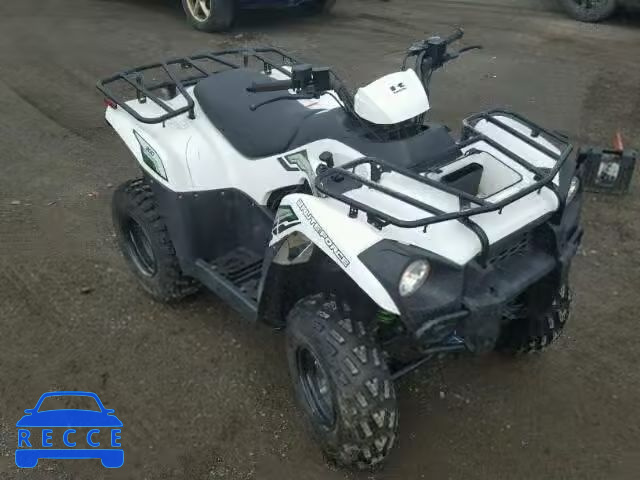 2015 KAWASAKI KVF300 RGSWM22A4FB690225 image 0