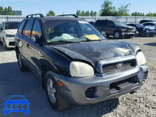 2004 HYUNDAI SANTA FE B KM8SB13D04U614824 зображення 0