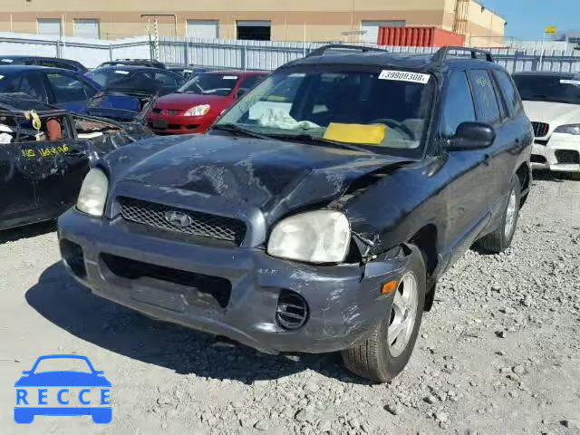 2004 HYUNDAI SANTA FE B KM8SB13D04U614824 зображення 1