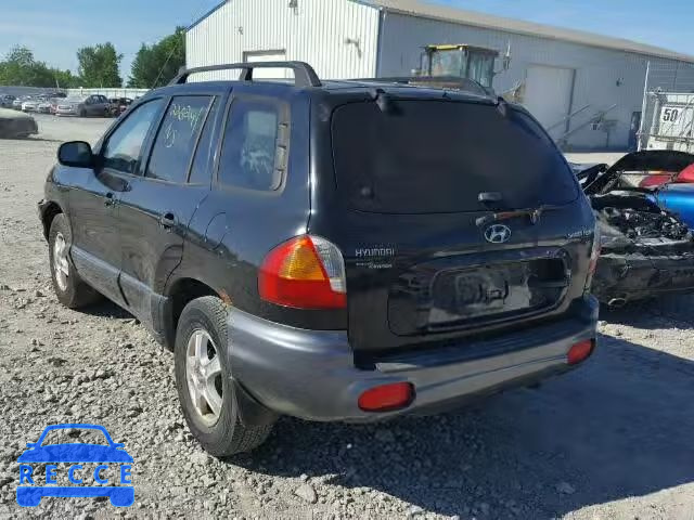 2004 HYUNDAI SANTA FE B KM8SB13D04U614824 зображення 2