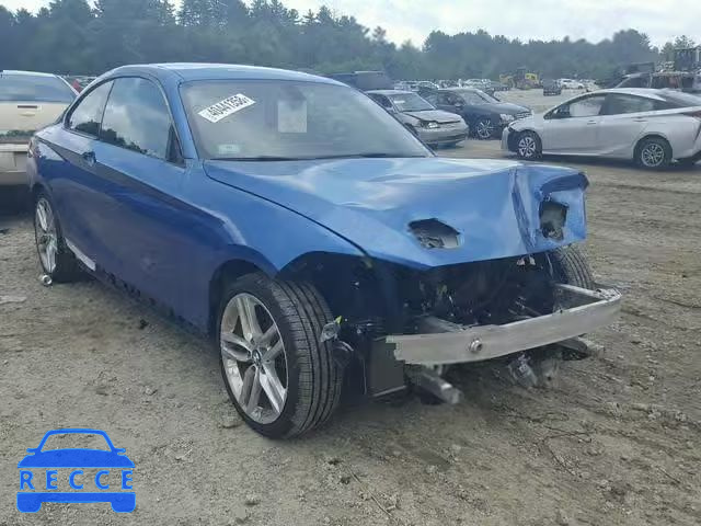 2016 BMW 228 XI WBA1G9C50GV598676 зображення 0