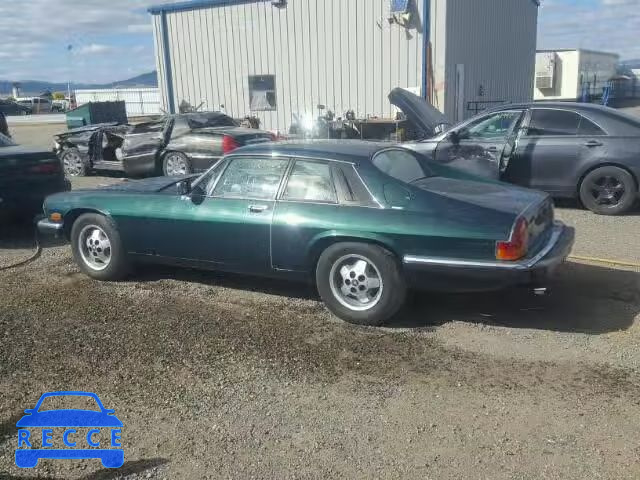 1983 JAGUAR XJS SAJNV584XDC109115 зображення 8