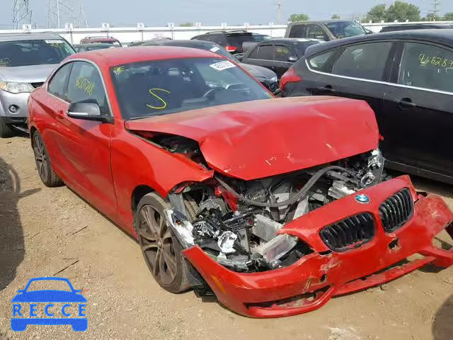 2015 BMW 228 I WBA1F5C55FV343502 image 0