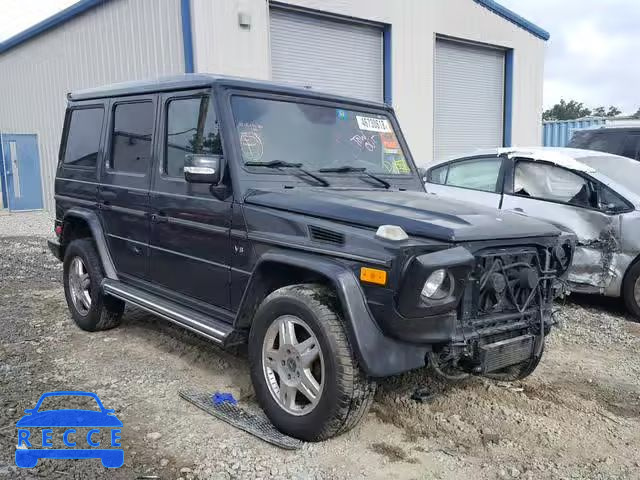 2004 MERCEDES-BENZ G 500 WDCYR49E14X145702 Bild 0