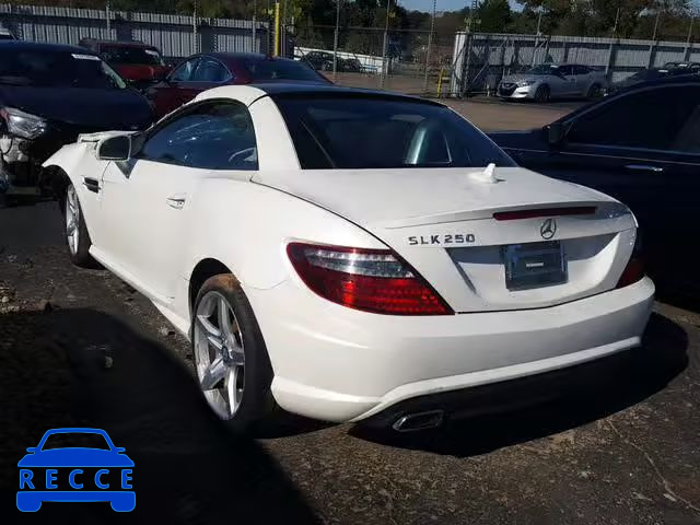 2014 MERCEDES-BENZ SLK 250 WDDPK4HAXEF089759 image 2