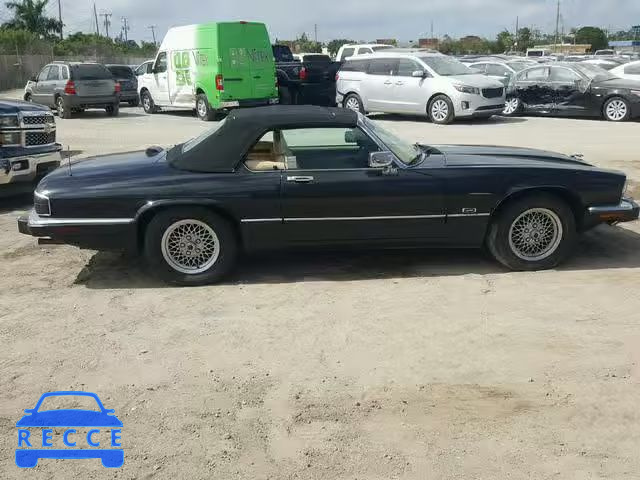 1992 JAGUAR XJS SAJNW484XNC183658 зображення 8