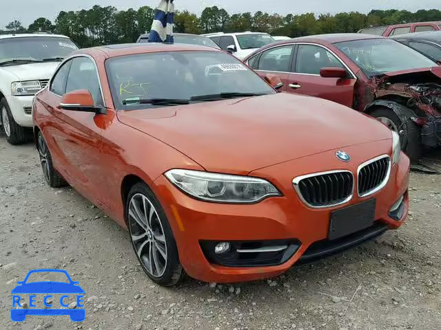 2016 BMW 228 XI WBA1G9C58GV599316 зображення 0