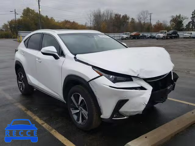 2018 LEXUS NX 300 JTJYARBZ2J2112303 Bild 0