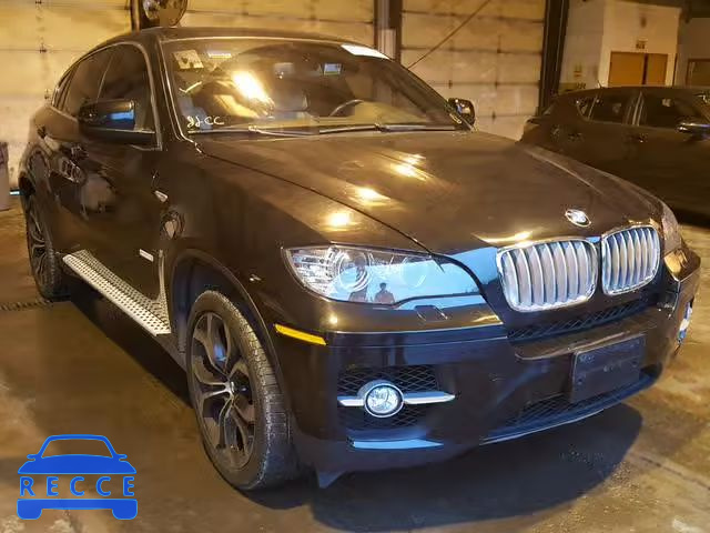2010 BMW X6 HYBRID 5UXFH0C50ALC66324 зображення 0