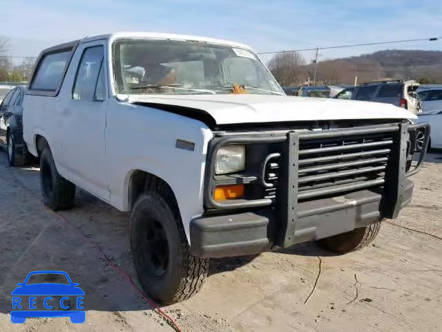 1981 FORD BRONCO U10 1FMEU15G4BLA08122 image 0