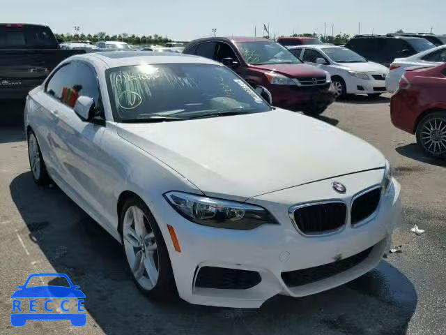 2016 BMW 228 I WBA1F9C53GV546493 image 0