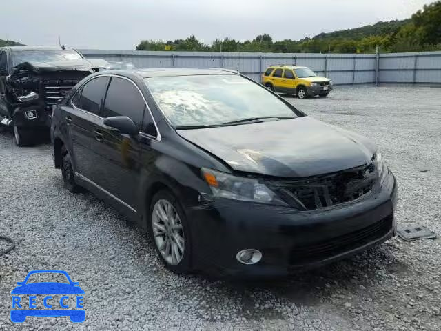 2010 LEXUS HS 250H JTHBB1BA7A2000855 image 0