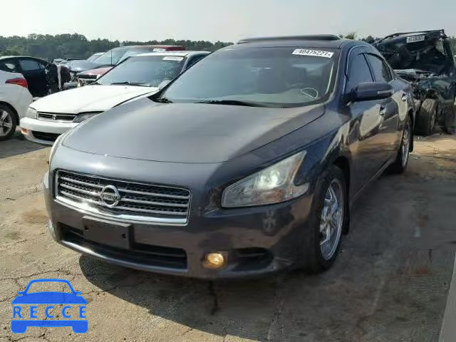 2009 NISSAN MAXIMA S 1N4AA51E09C831671 Bild 1