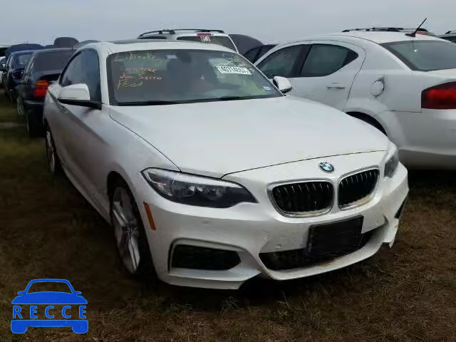 2015 BMW 228 WBA1F5C57FV257723 зображення 0