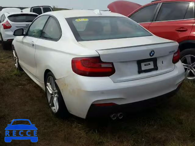 2015 BMW 228 WBA1F5C57FV257723 image 2