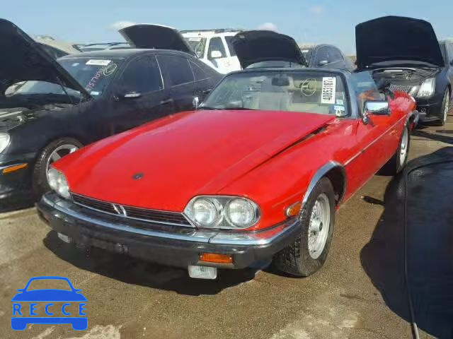 1989 JAGUAR XJS SAJNV4842KC162382 image 1