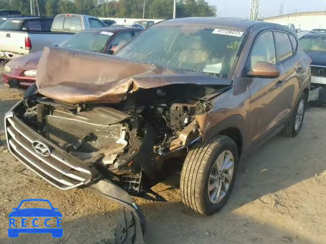 2017 HYUNDAI TUCSON SE KM8J23A45HU300781 image 1