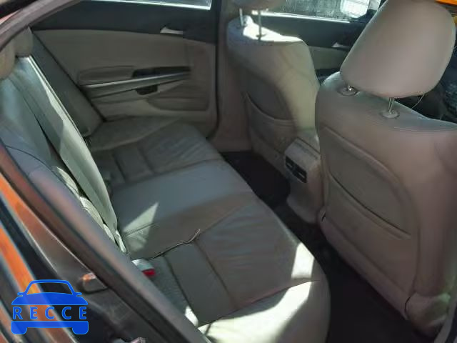 2010 HONDA ACCORD EXL 1HGCP2F82AA144003 image 5