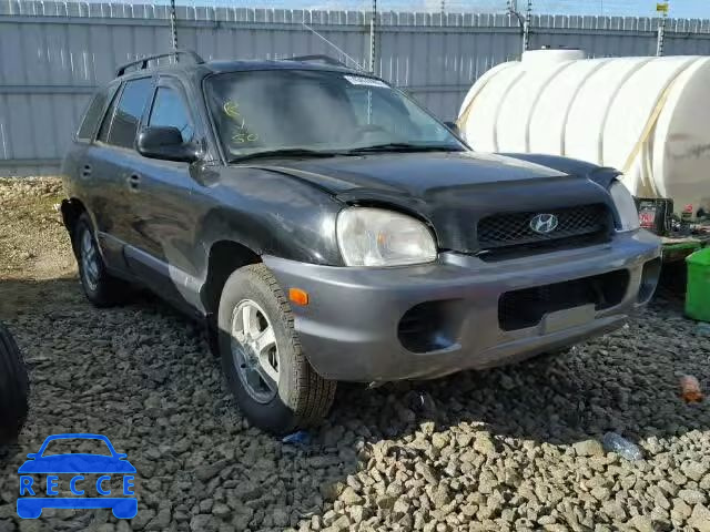 2004 HYUNDAI SANTA FE B KM8SB13D14U715693 Bild 0