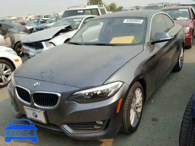 2014 BMW 228 I WBA1F5C57EV255274 image 1