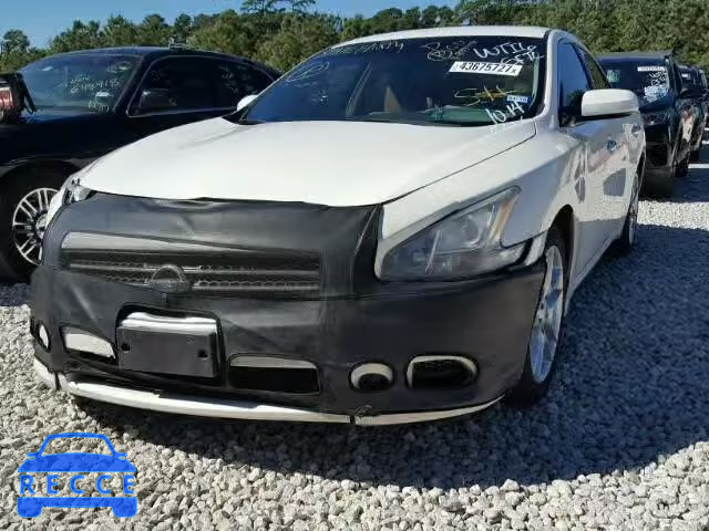 2010 NISSAN MAXIMA S 1N4AA5AP5AC847774 зображення 1