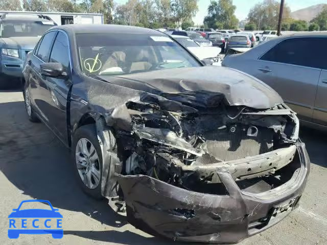 2011 HONDA ACCORD LXP 1HGCP2F42BA025849 image 0