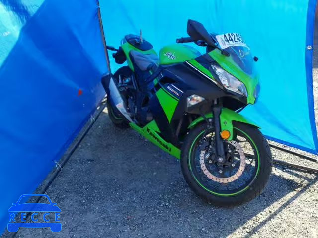 2013 KAWASAKI EX300 JKAEX8A18DDA14070 зображення 0